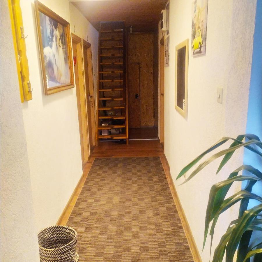 Apartmani Bozana Vojinovic Жабляк Экстерьер фото