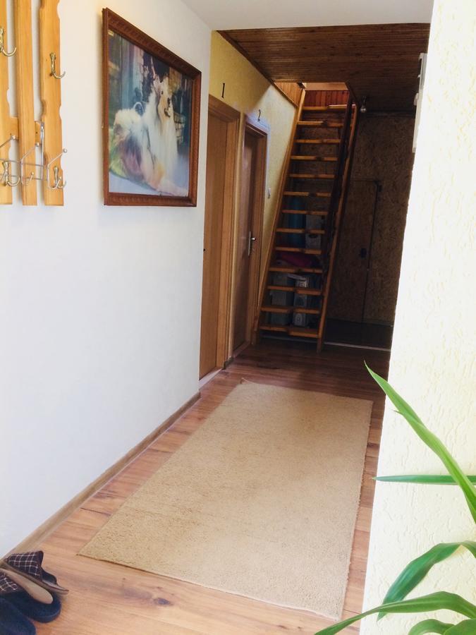 Apartmani Bozana Vojinovic Жабляк Номер фото